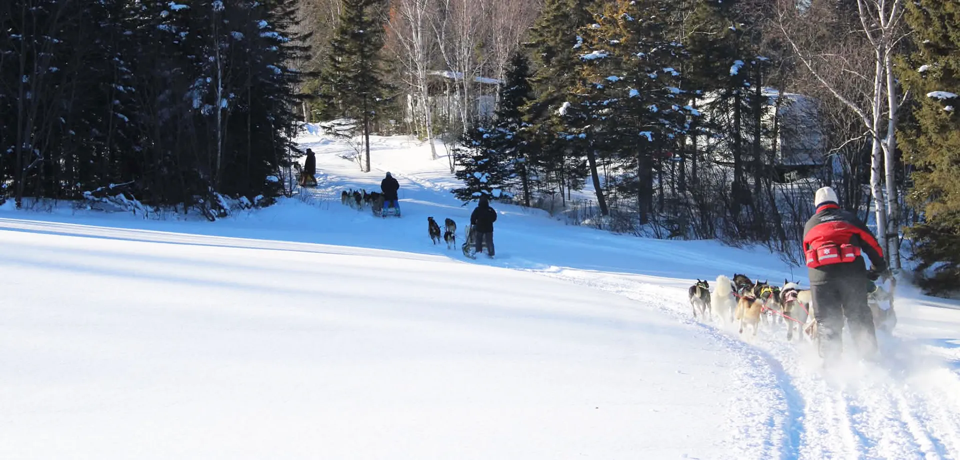 Traîneau hiver